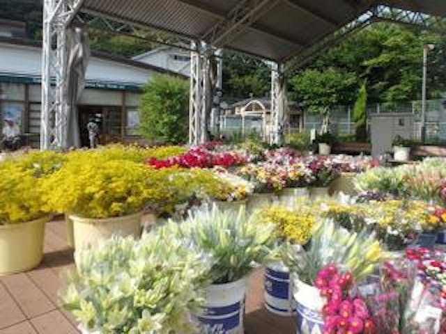 高浜市場きなーれ　お盆の花市