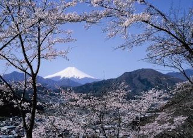 岩殿山ハイキングコース アソビュー