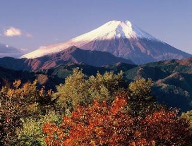 扇山・百蔵山ハイキングコース