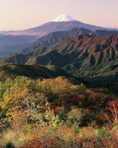 雁ヶ腹摺山ハイキングコース