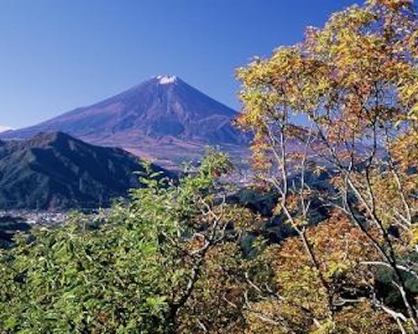 高川山ハイキングコース