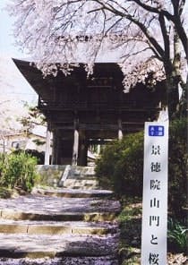 スポットの写真