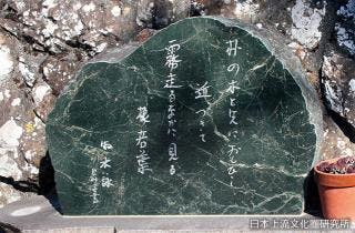 スポットの写真