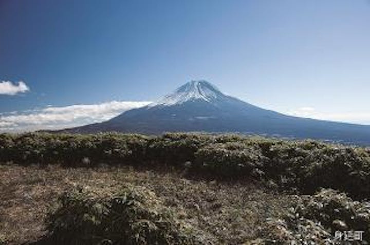 竜ヶ岳ハイキングコース