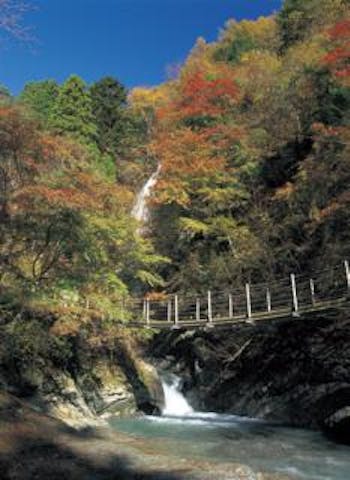 大柳川渓谷ハイキングコース