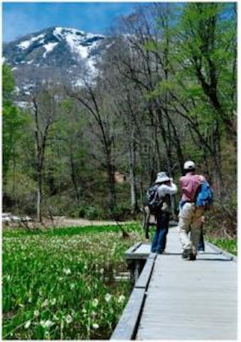 奥裾花自然園（堂津岳・東山登山口）