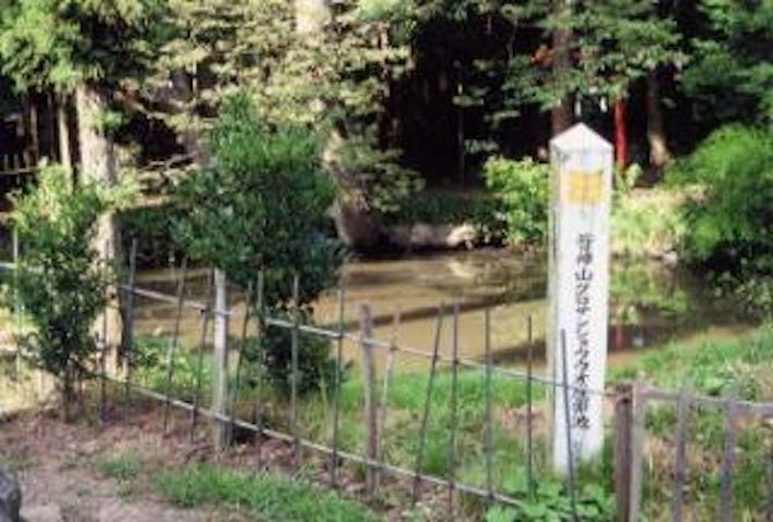 皆神山のクロサンショウウオ