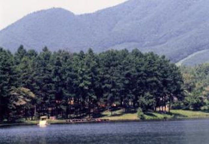 飯綱高原の野鳥