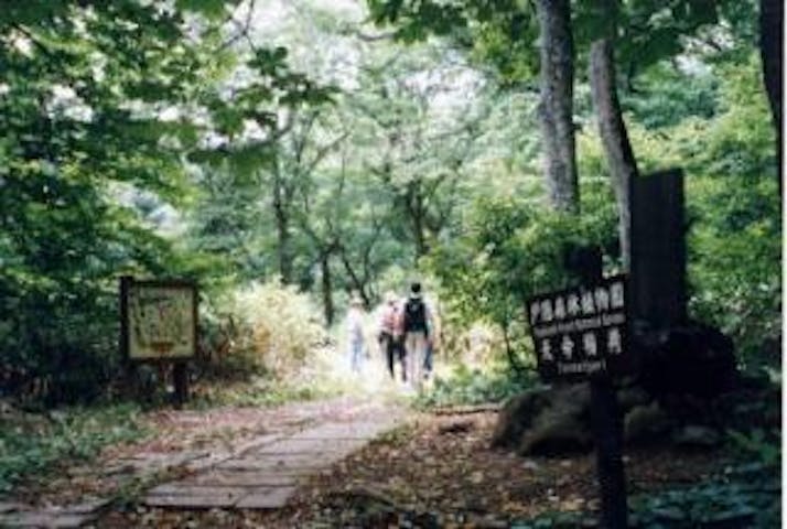 戸隠森林植物園・鏡池ハイキングコース
