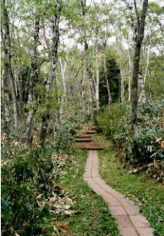 神道ハイキングコース