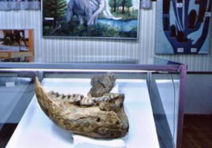 長野市立博物館分館戸隠地質化石博物館