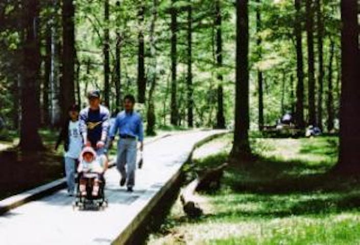 戸隠森林植物園