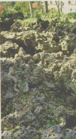 白骨温泉噴湯丘