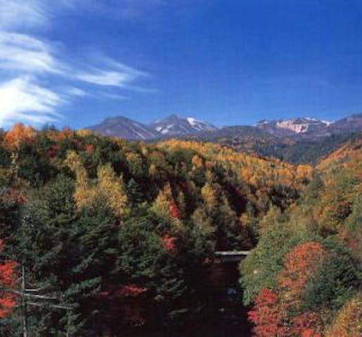 乗鞍高原の紅葉