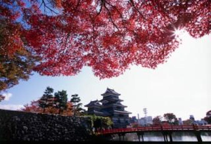 松本城の紅葉