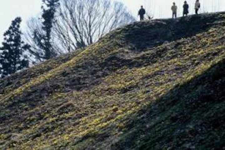 【開催中止】四賀福寿草まつり