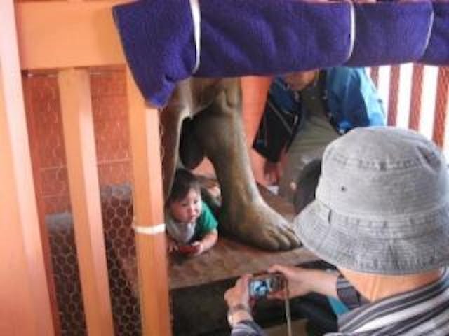 【開催予定】仁王尊股くぐり祭