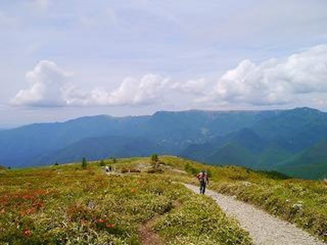 鉢伏山遊歩道