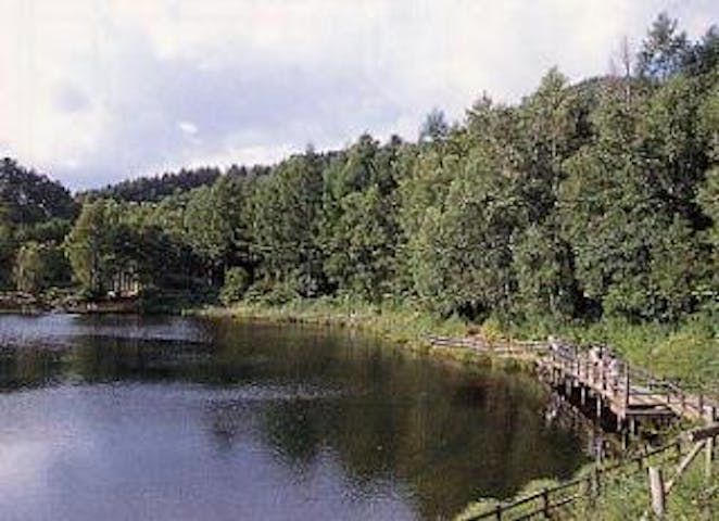 高ソメキャンプ場