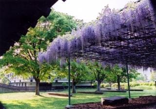 スポットの写真