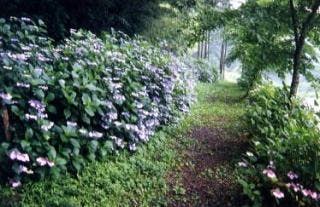 スポットの写真