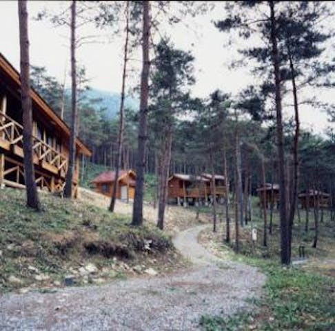 巣栗キャンプ場