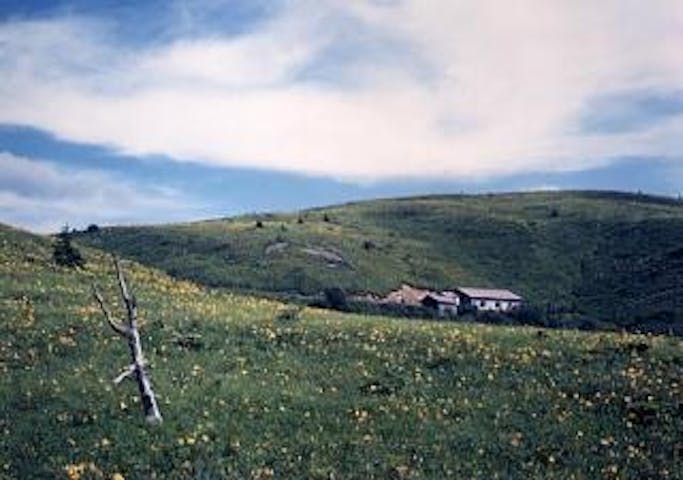 高ボッチ高原・鉢伏山