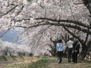 スポットの写真