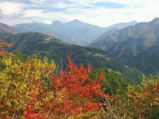 スポットの写真