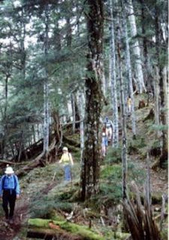 尾高山ミニ登山コース