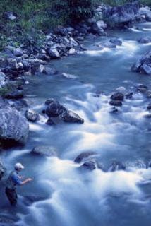 スポットの写真