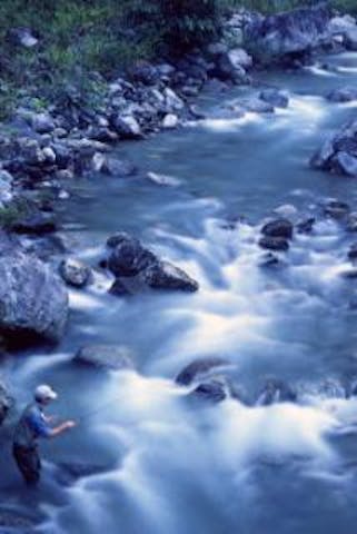 遠山川・上村川