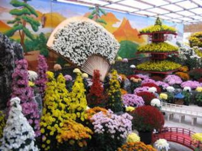 【2020年開催中止】信州須坂大菊花展