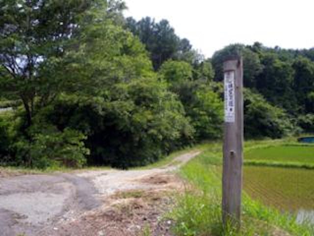 御牧ヶ原笹沢川の蛍