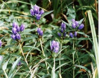 スポットの写真