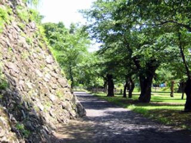 【休業中】小諸城址懐古園