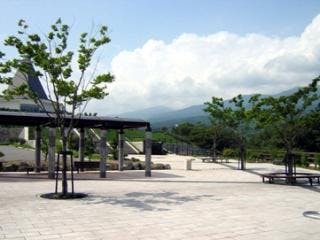 スポットの写真