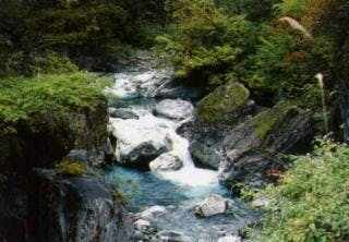 スポットの写真