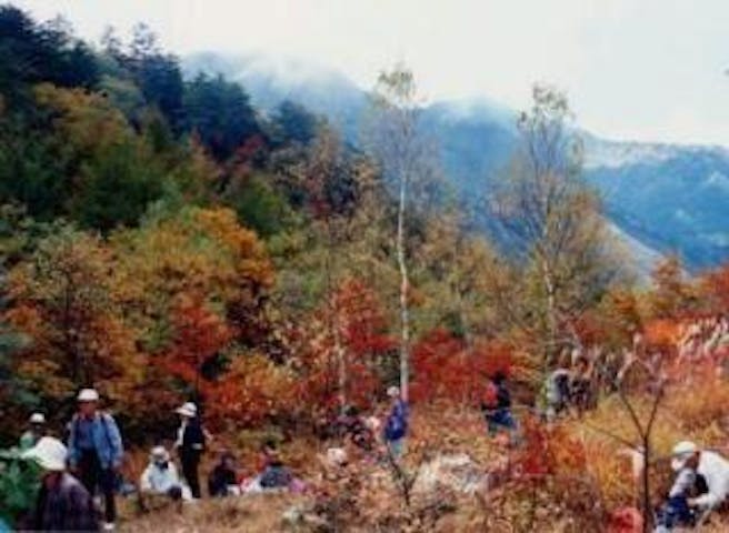 権兵衛峠の紅葉