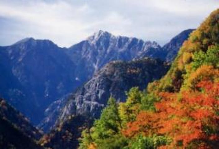 南アルプス林道の紅葉