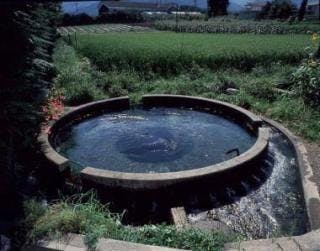 スポットの写真