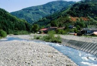 スポットの写真