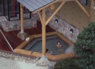 スポットの写真