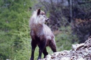 スポットの写真