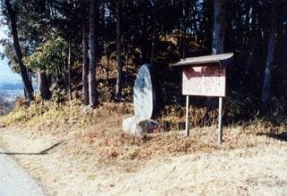 スポットの写真