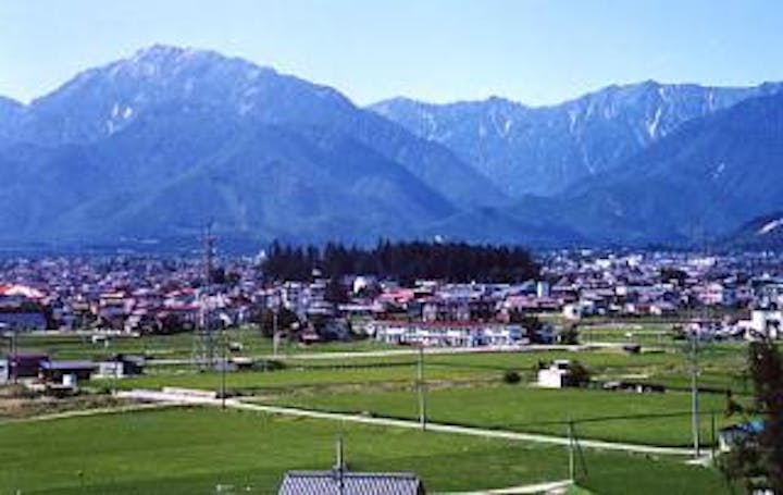 若一王子神社の社叢