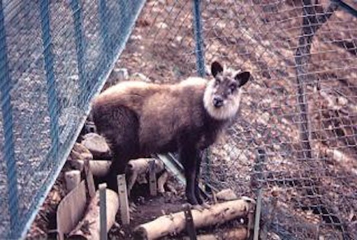 大町山岳博物館