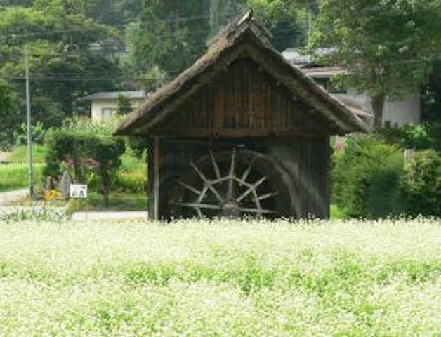 【2020年度開催中止】新行そばまつり