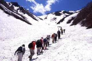 スポットの写真