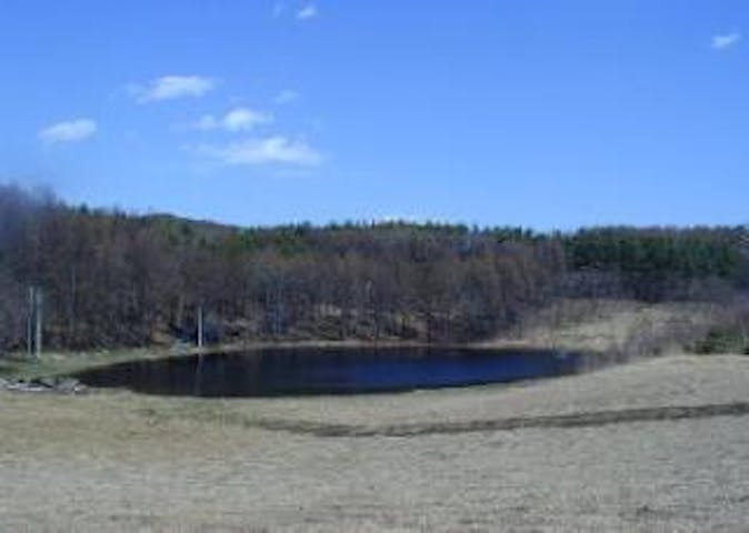 中山高原キャンプ場